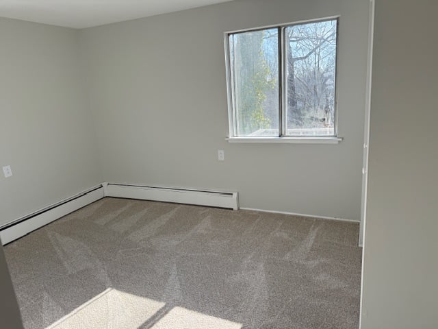 7 Mcallister Avenue  #2 Photo 23