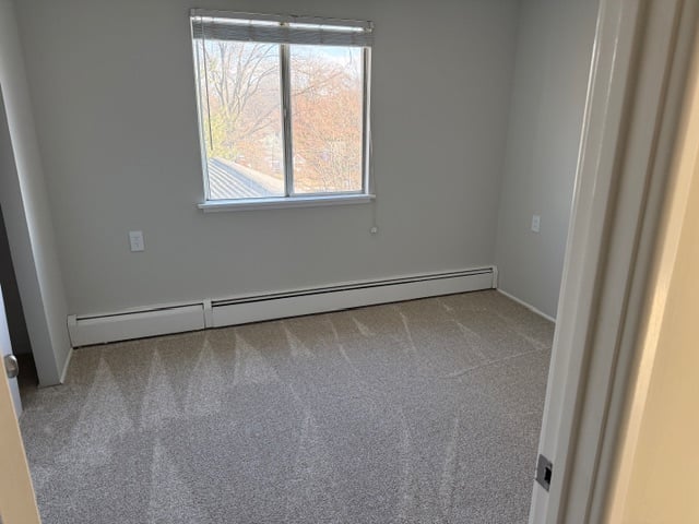 7 Mcallister Avenue  #2 Photo 7