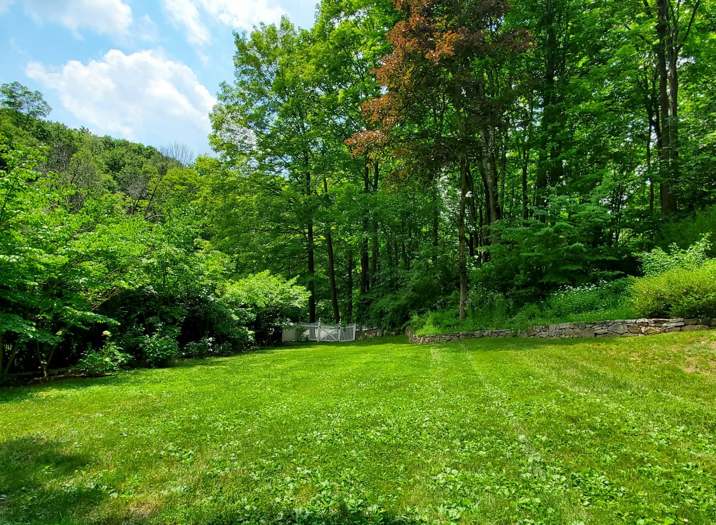 219 Bennetts Farm Road Photo 5