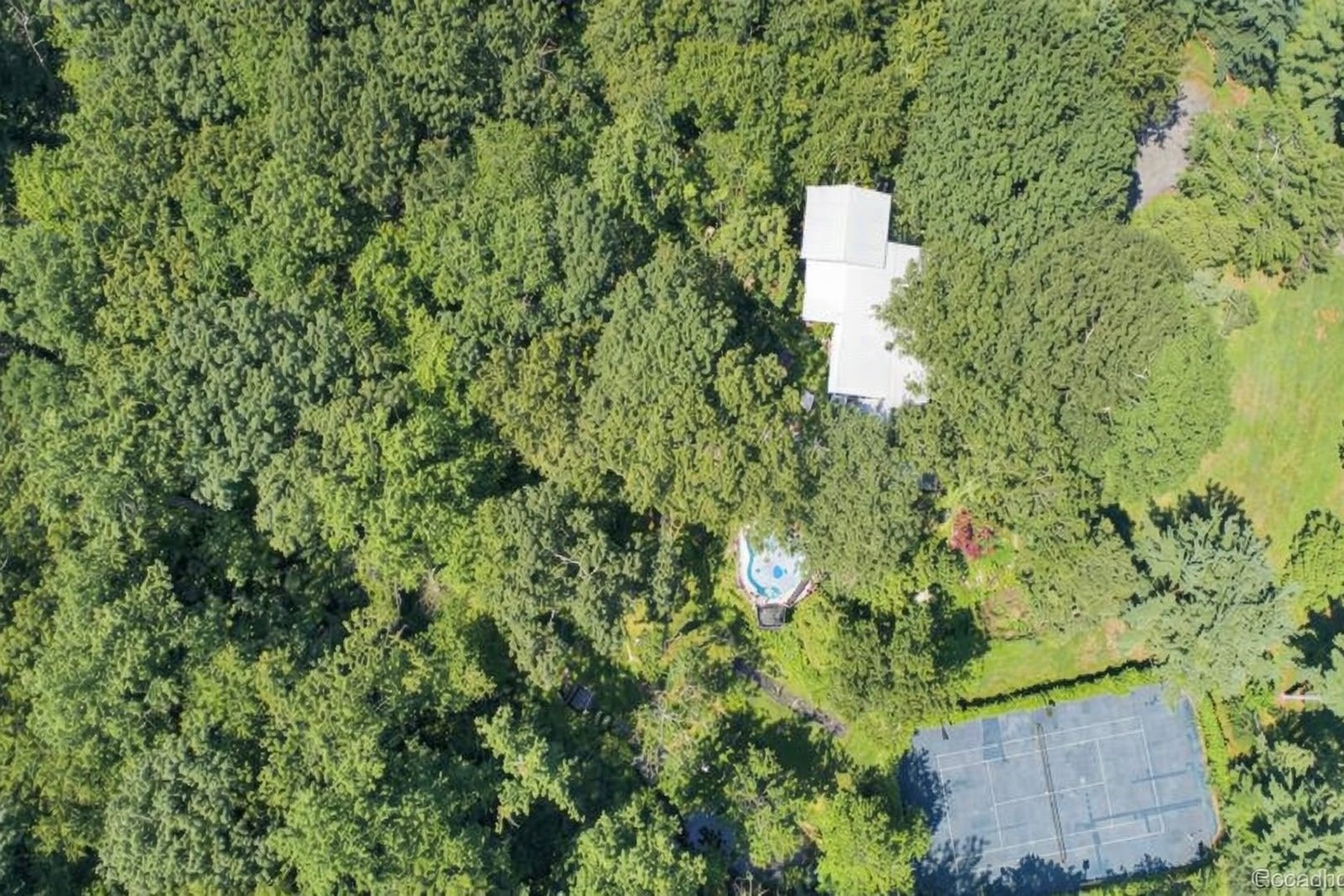 35 Saxon Woods Road Photo 9