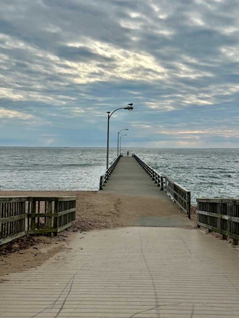 330 Savin Avenue  #22 Photo 5