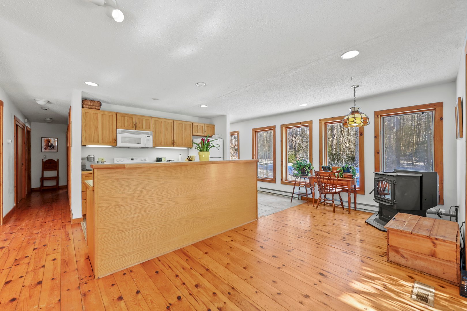 973 Fred Snow Rd Photo 29