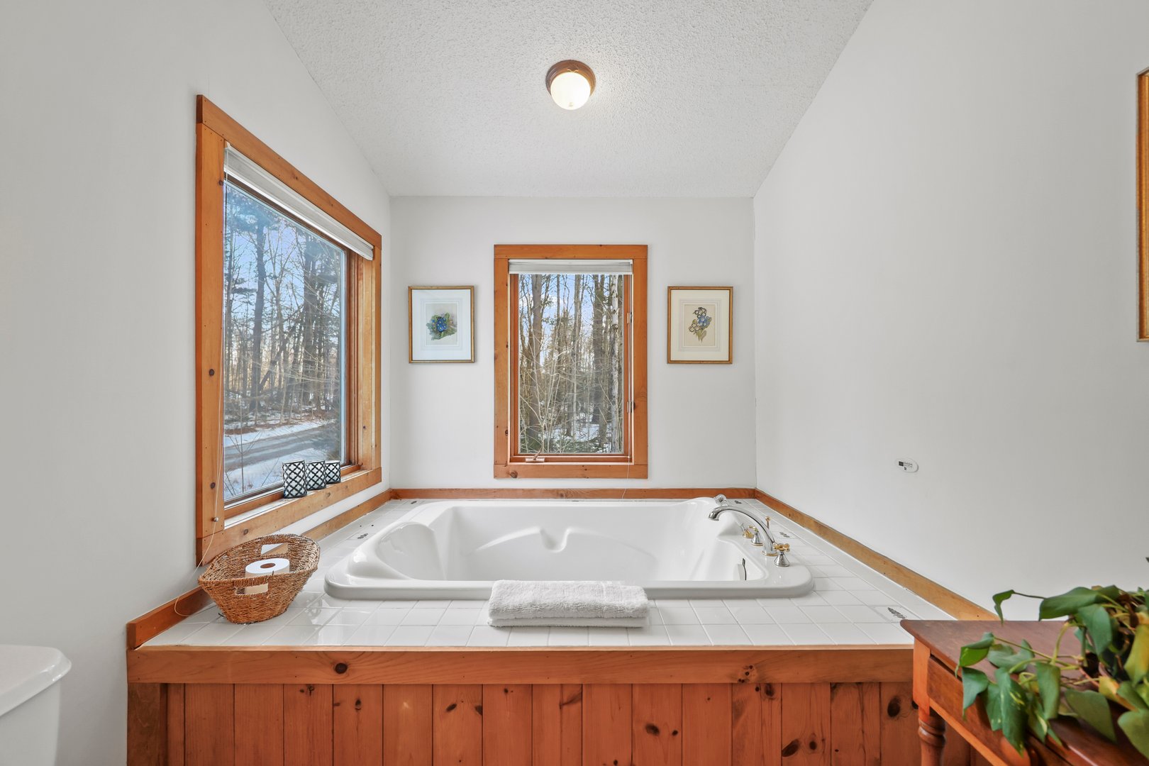 973 Fred Snow Rd Photo 47