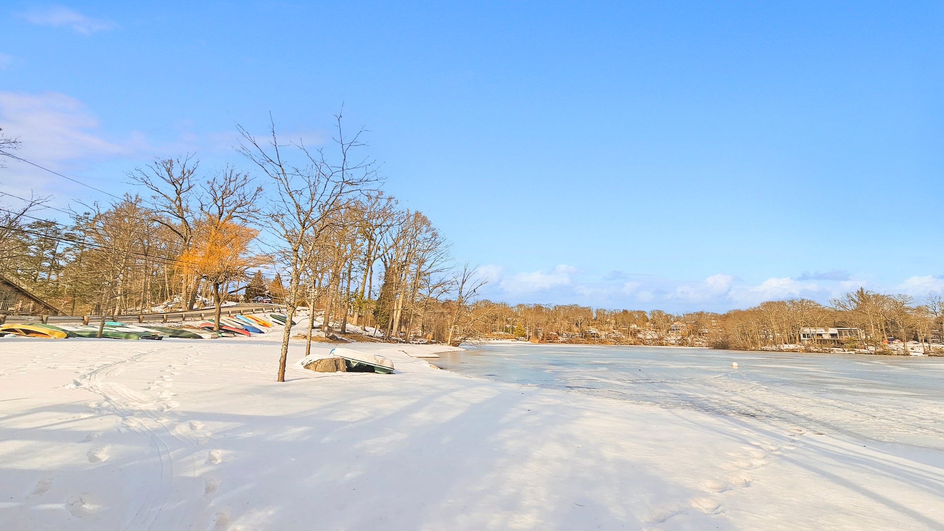 29 Carol Street Photo 35