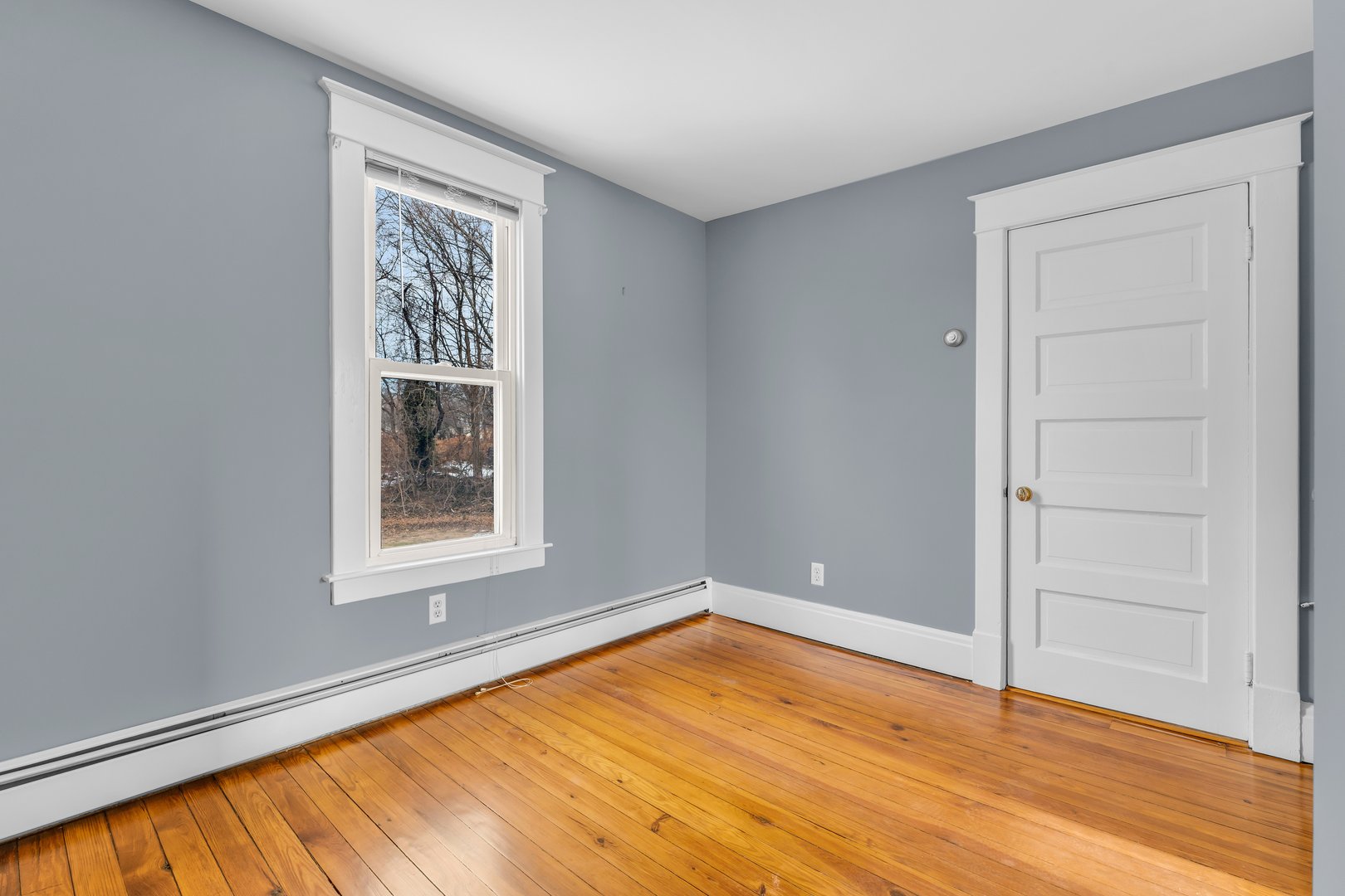 40 Elm Street Photo 17