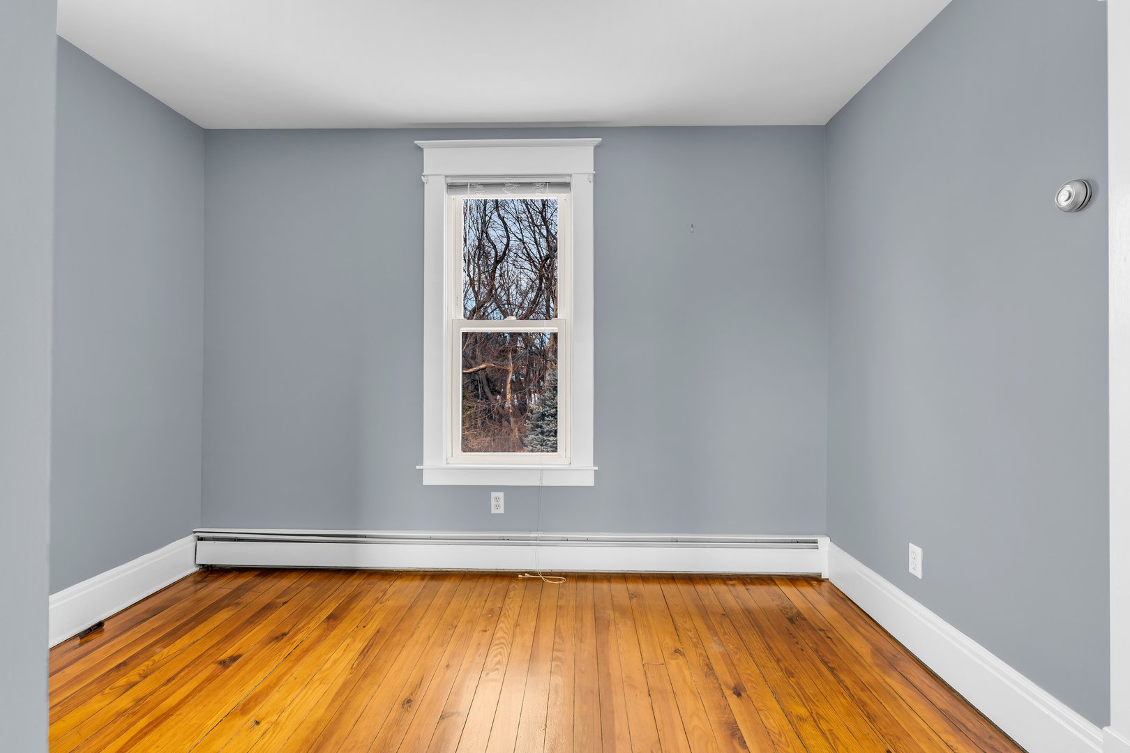 40 Elm Street Photo 18