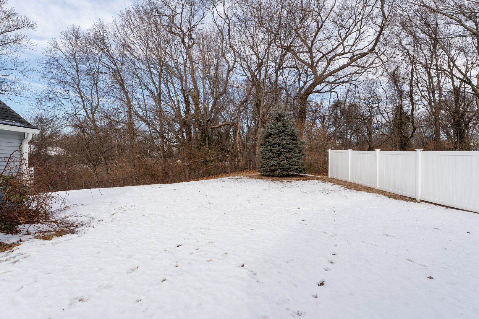 40 Elm Street Photo 25