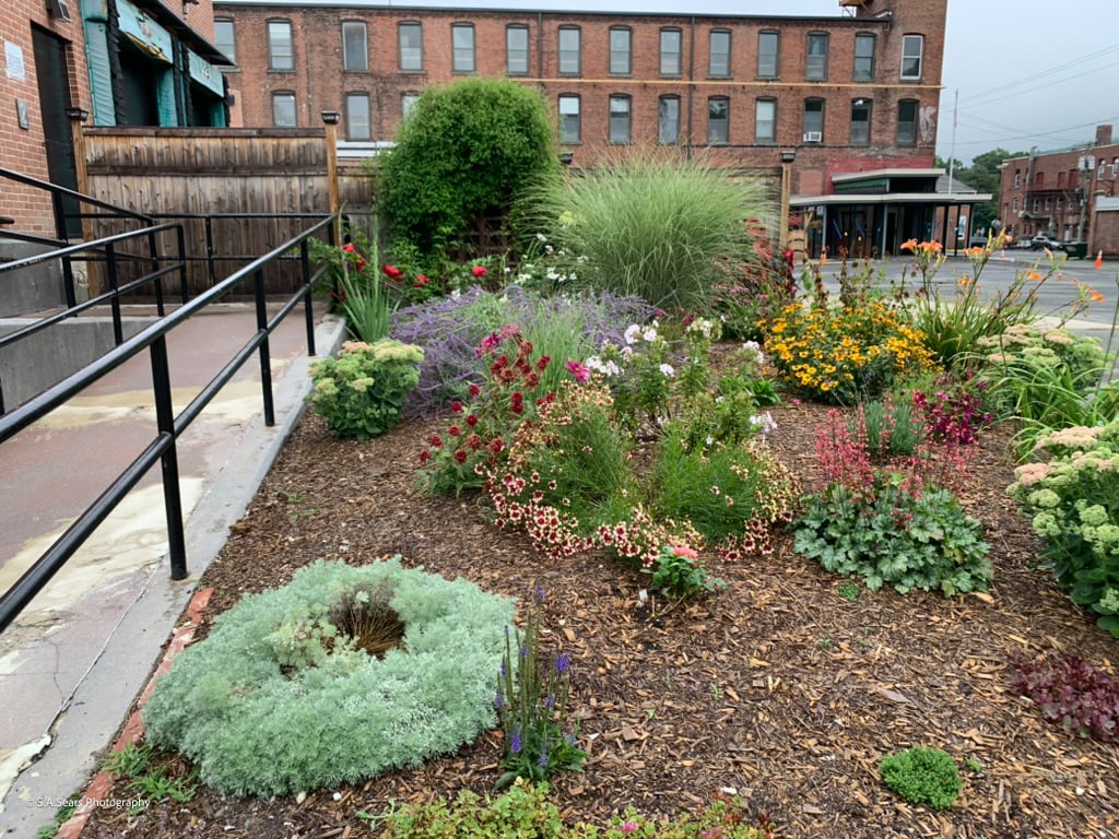 63 Flansburg Ave Photo 5