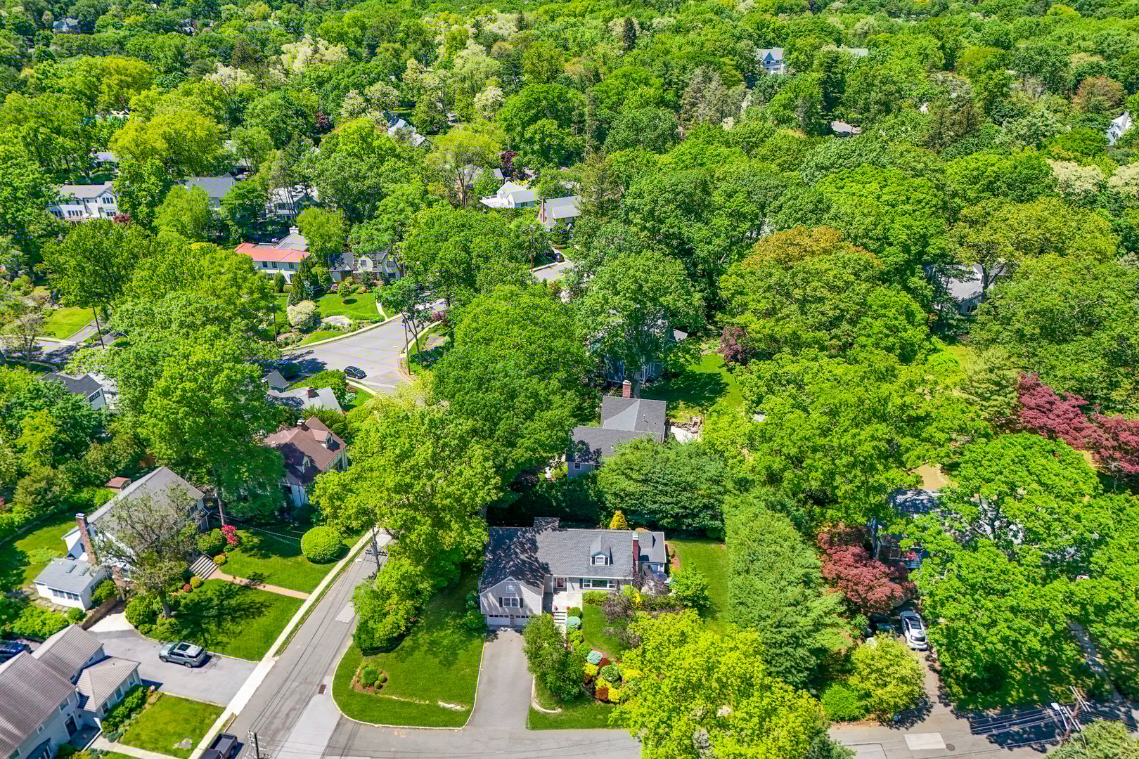 1 Highridge Road Photo 28