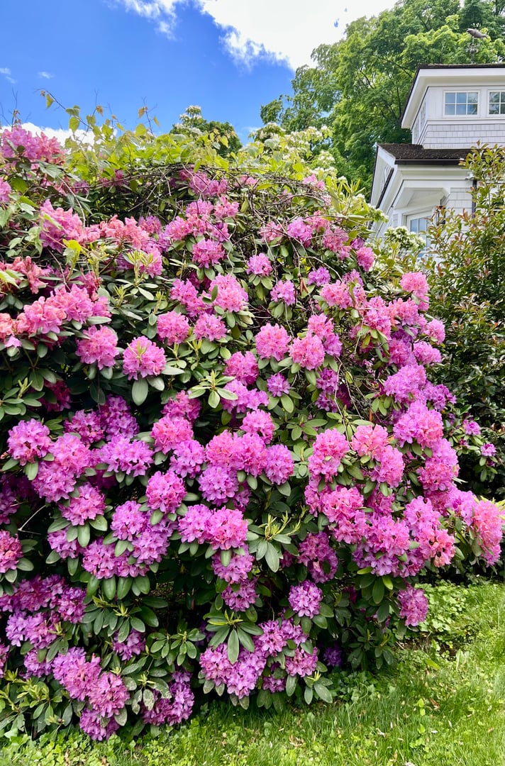 88 Five Mile River Road Photo 31