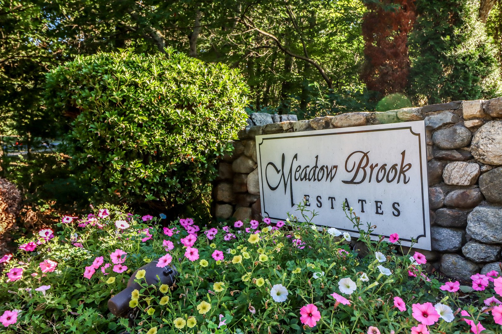 215 Meadow Brook Road #215 Photo 30