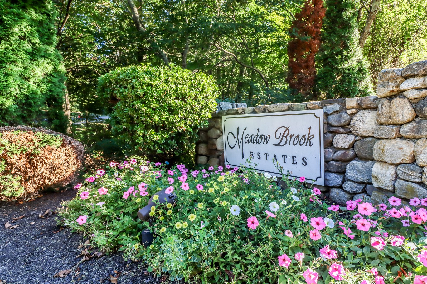 215 Meadow Brook Road #215 Photo 29