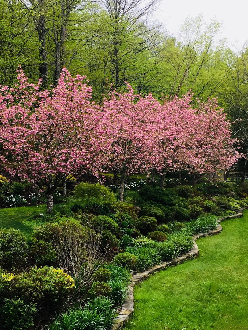 233 Sharon Goshen Turnpike Road Photo 29