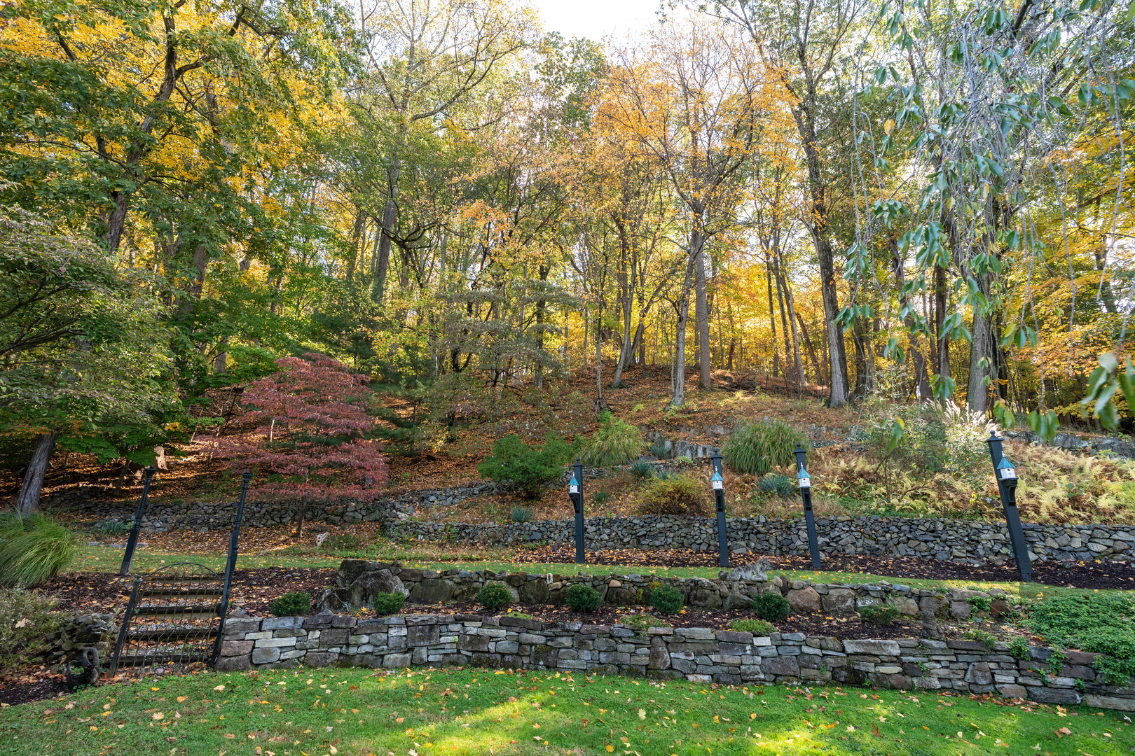 23 Ferdon Avenue Photo 31