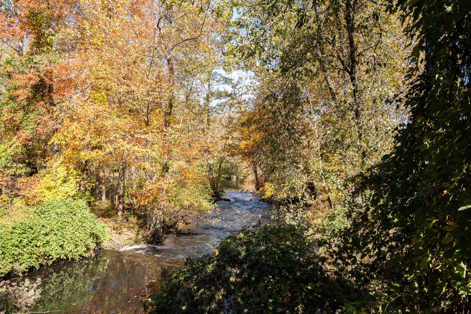 23 Ferdon Avenue Photo 42