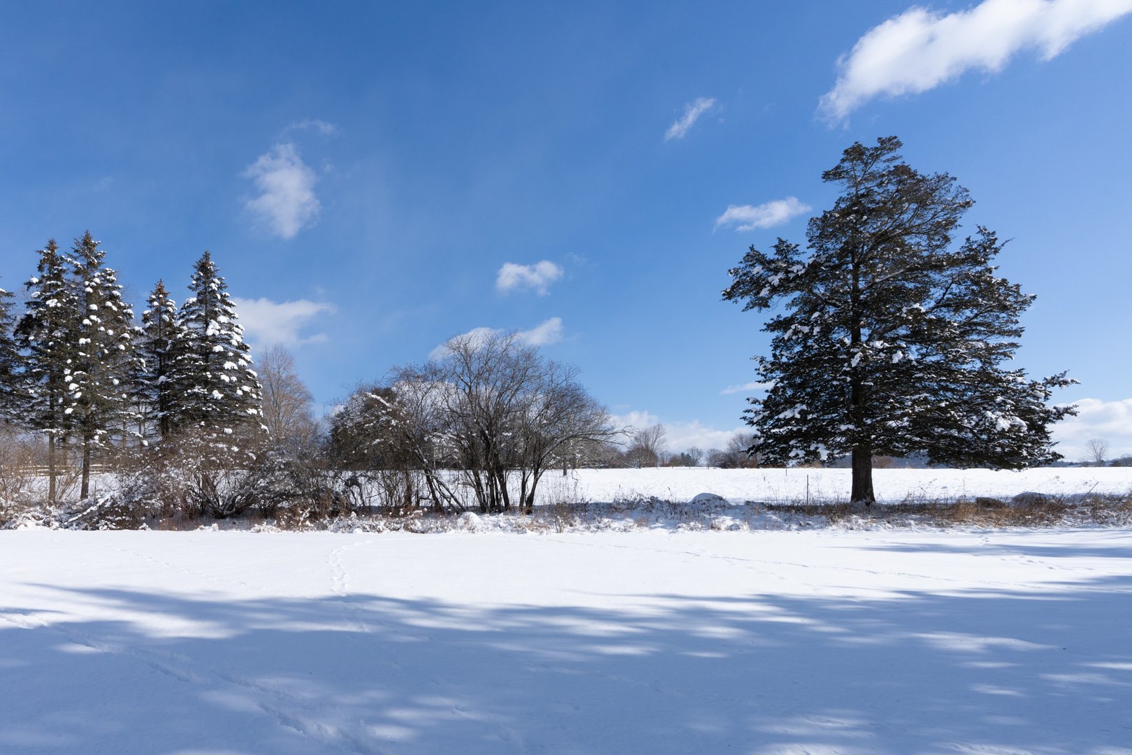 48 Long Pond Road Photo 18