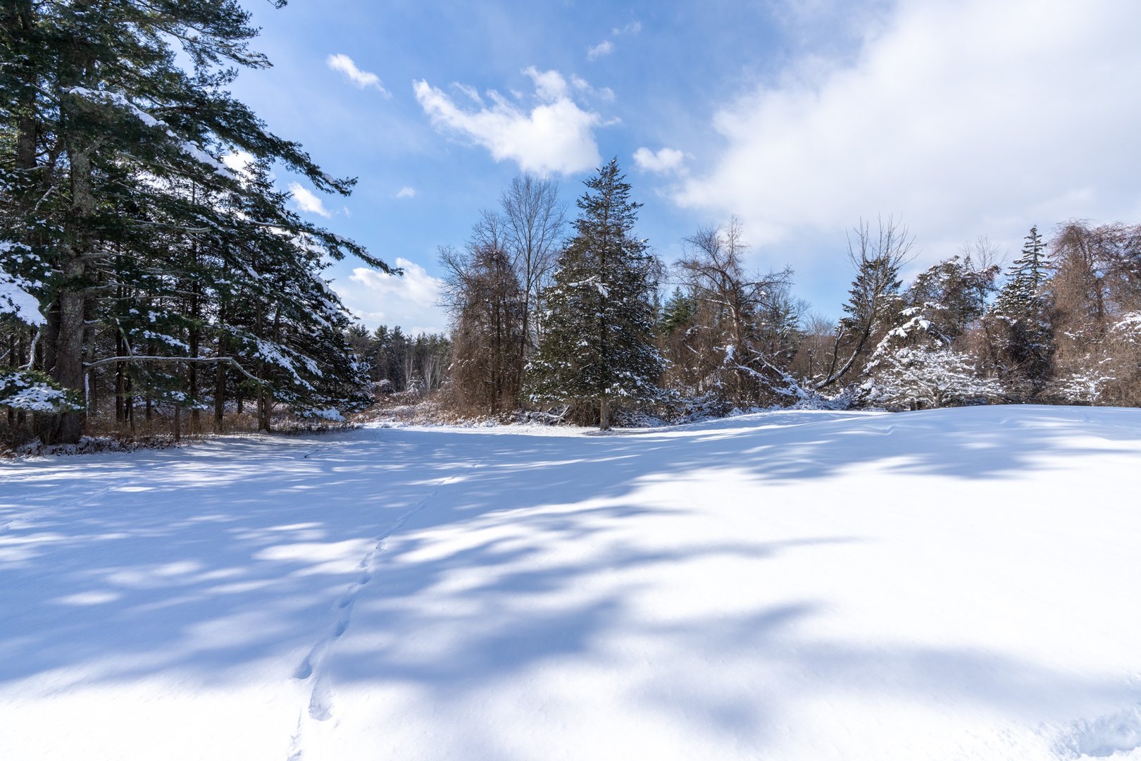 48 Long Pond Road Photo 23