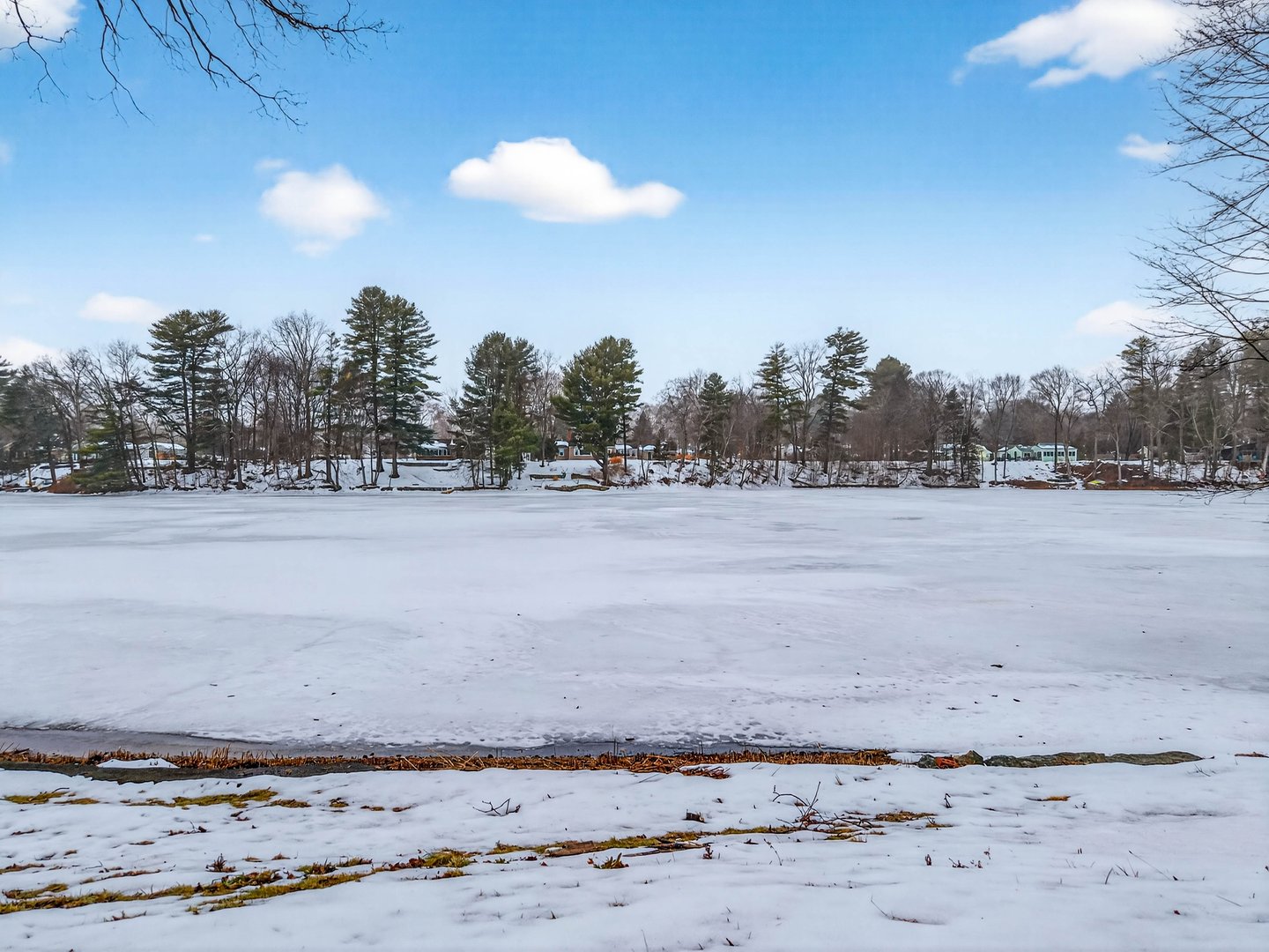 87 White Birch Drive Photo 26