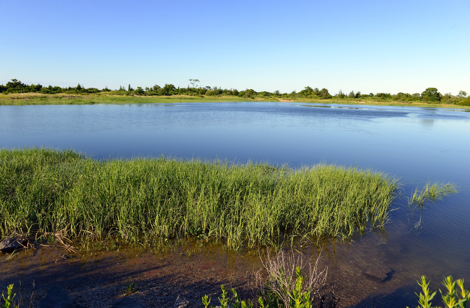 37 Barlow Lane Photo 39