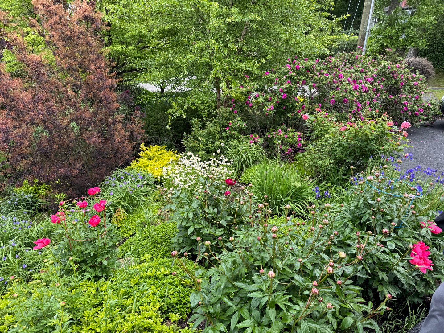 24 Country Club Lane Photo 35