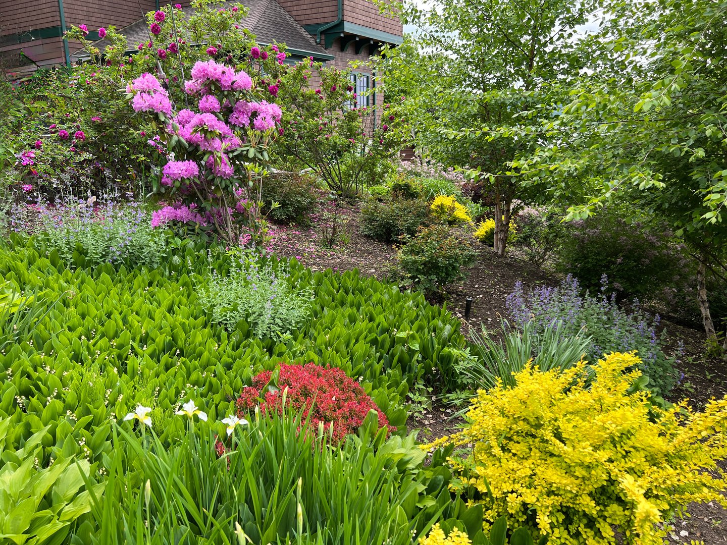 24 Country Club Lane Photo 39