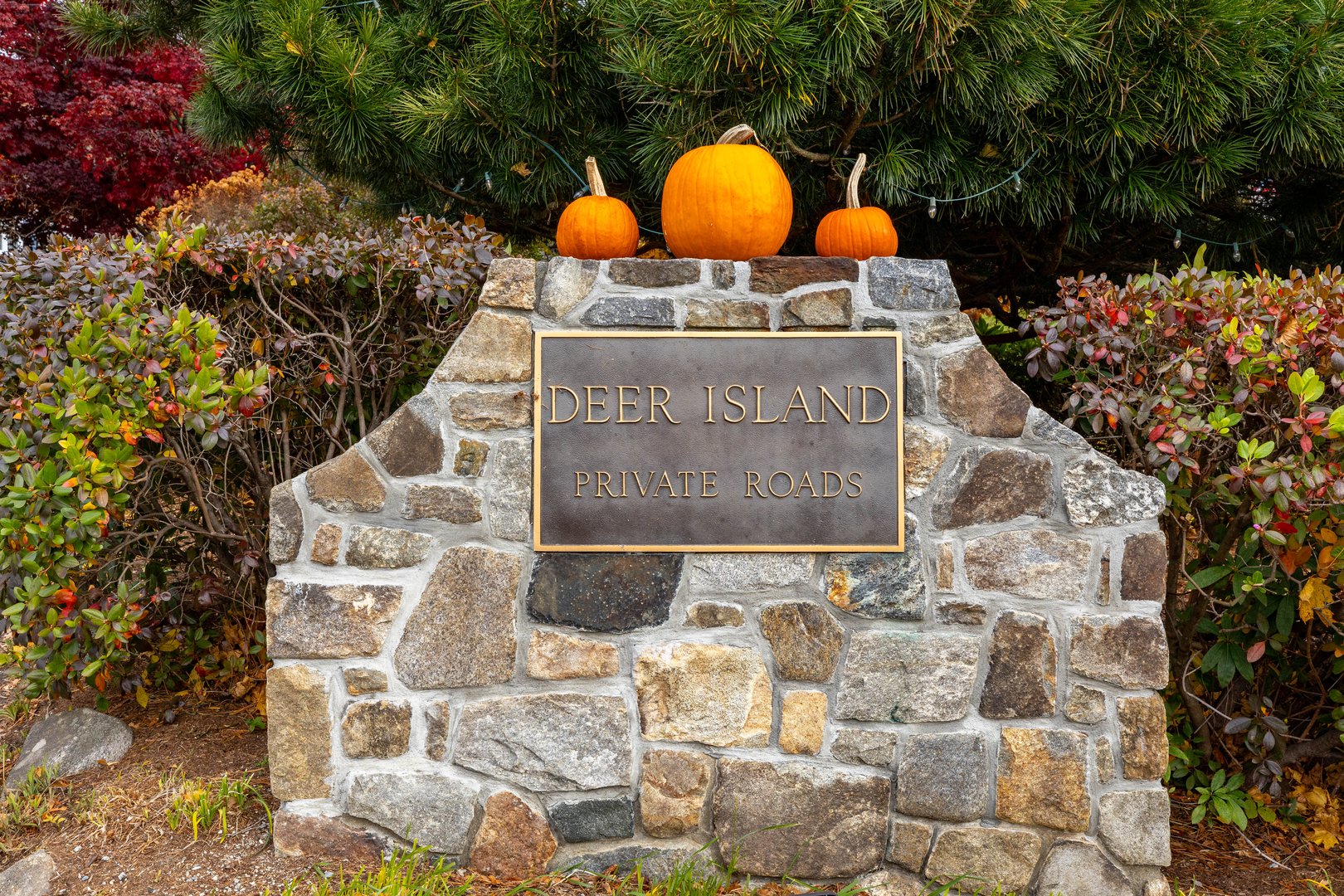 7 Hill Top Road Photo 36