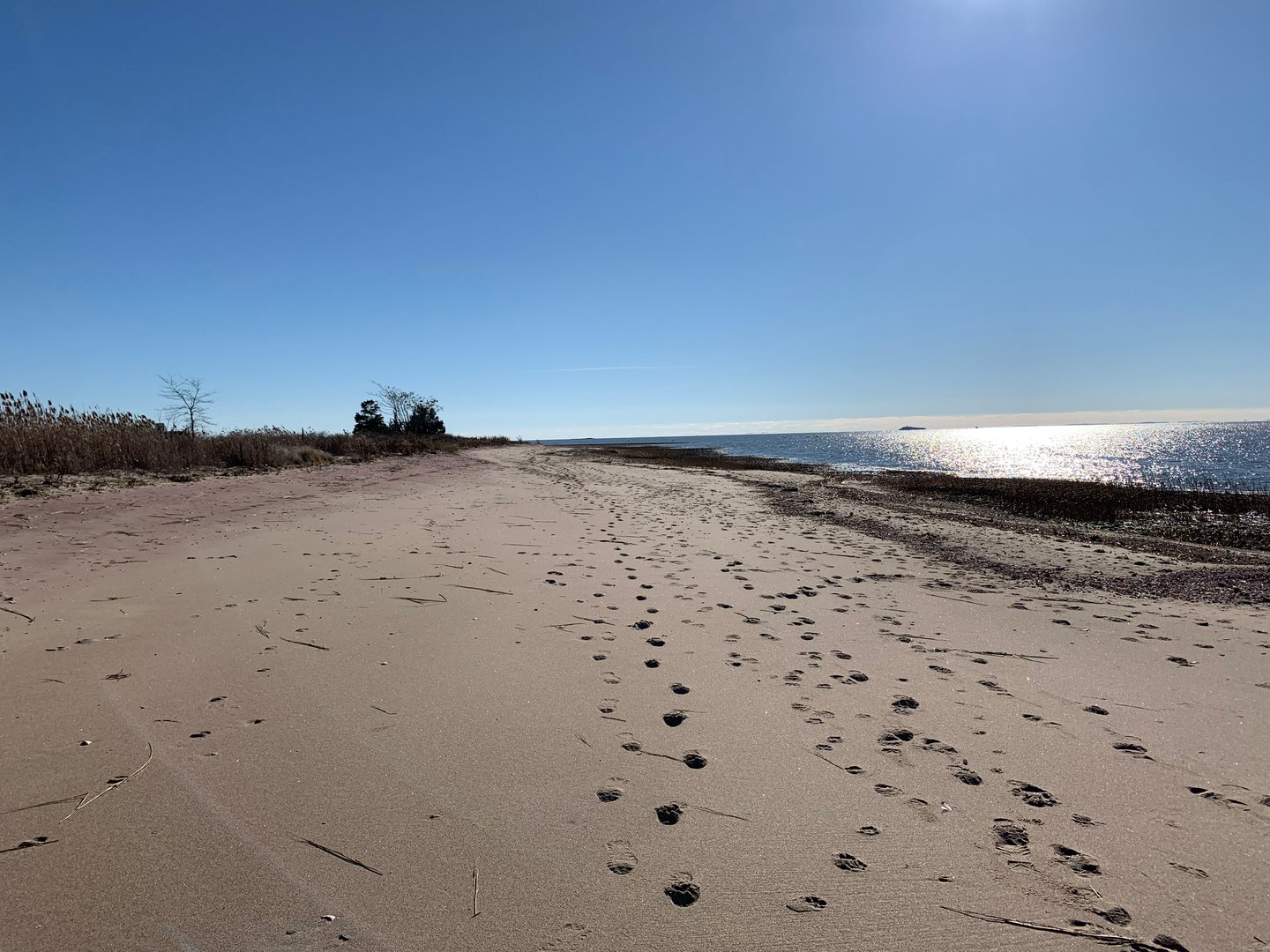 49 Circle Beach Road Photo 17
