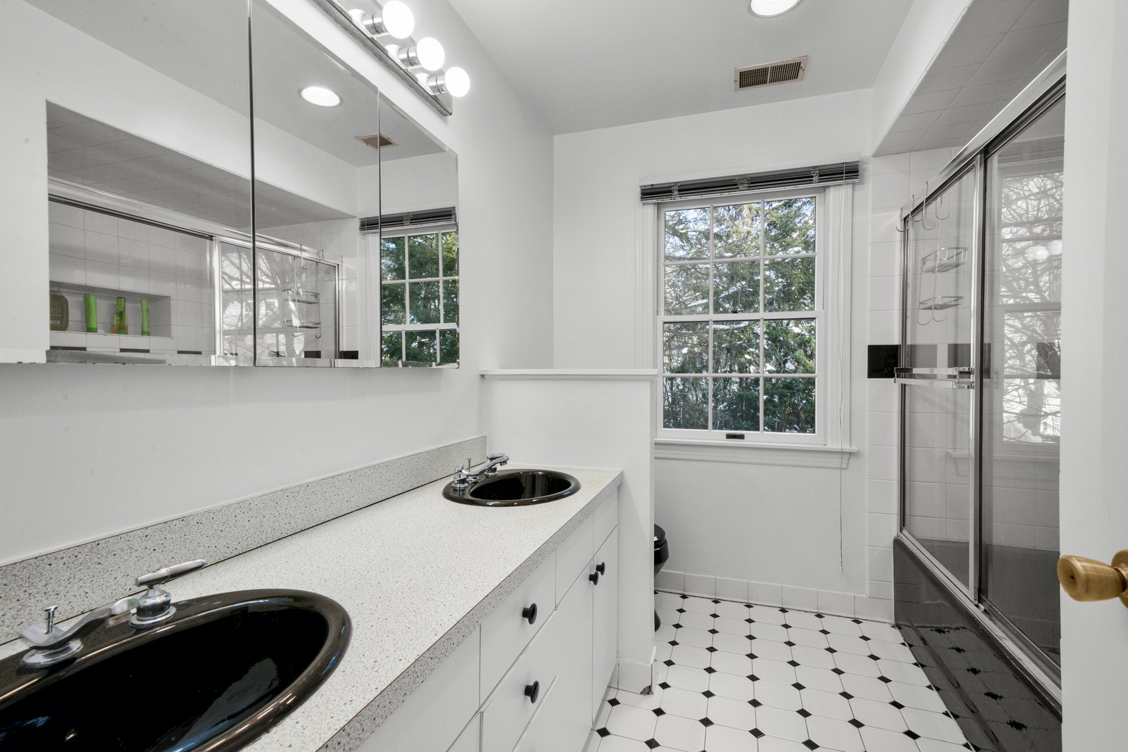 35 Seton Road Photo 22