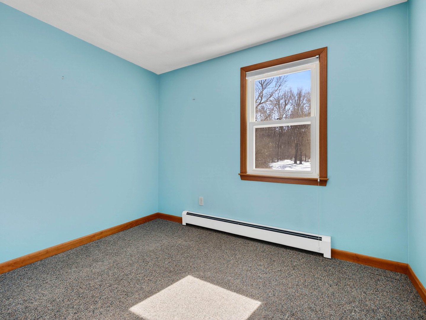 42 Roseleah Drive Photo 15