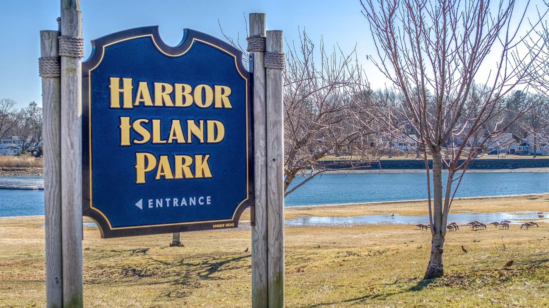 412 Munro Avenue  #3F Photo 18