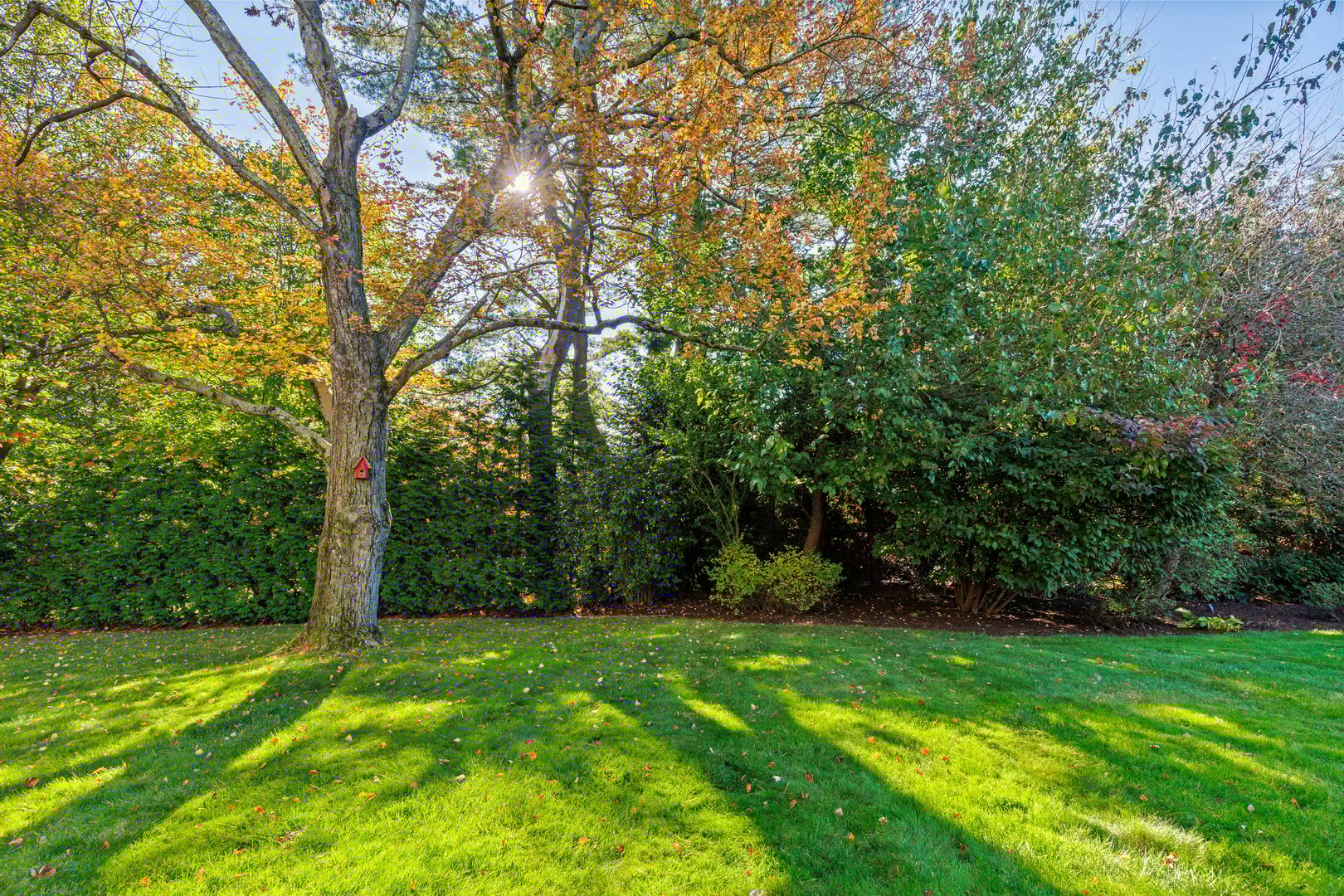 12 Old Lyme Road Photo 37