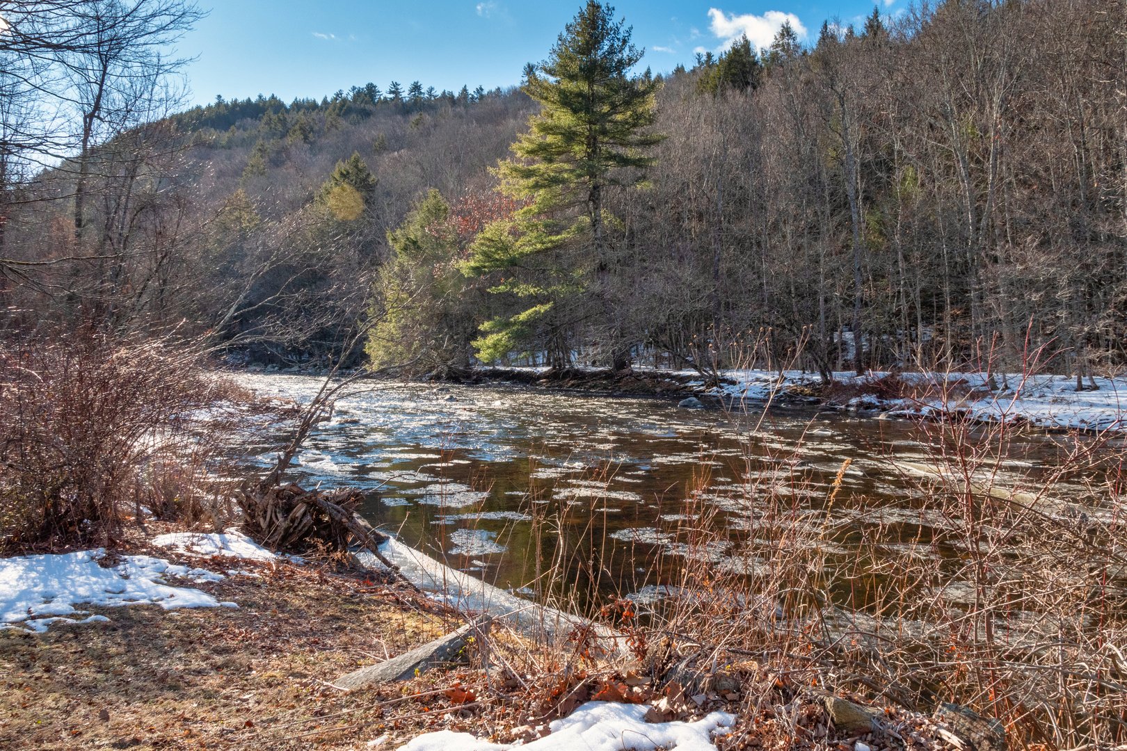 14 Roosterville Rd Photo 41