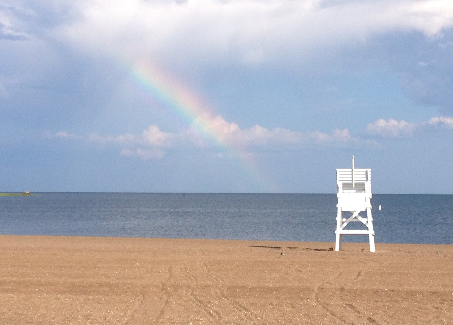 80 Seaview Terrace  #31 Photo 36