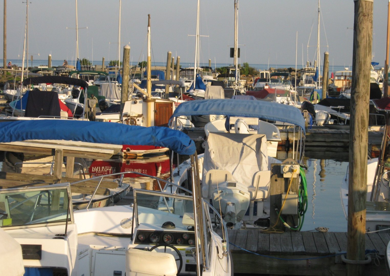 80 Seaview Terrace  #31 Photo 37