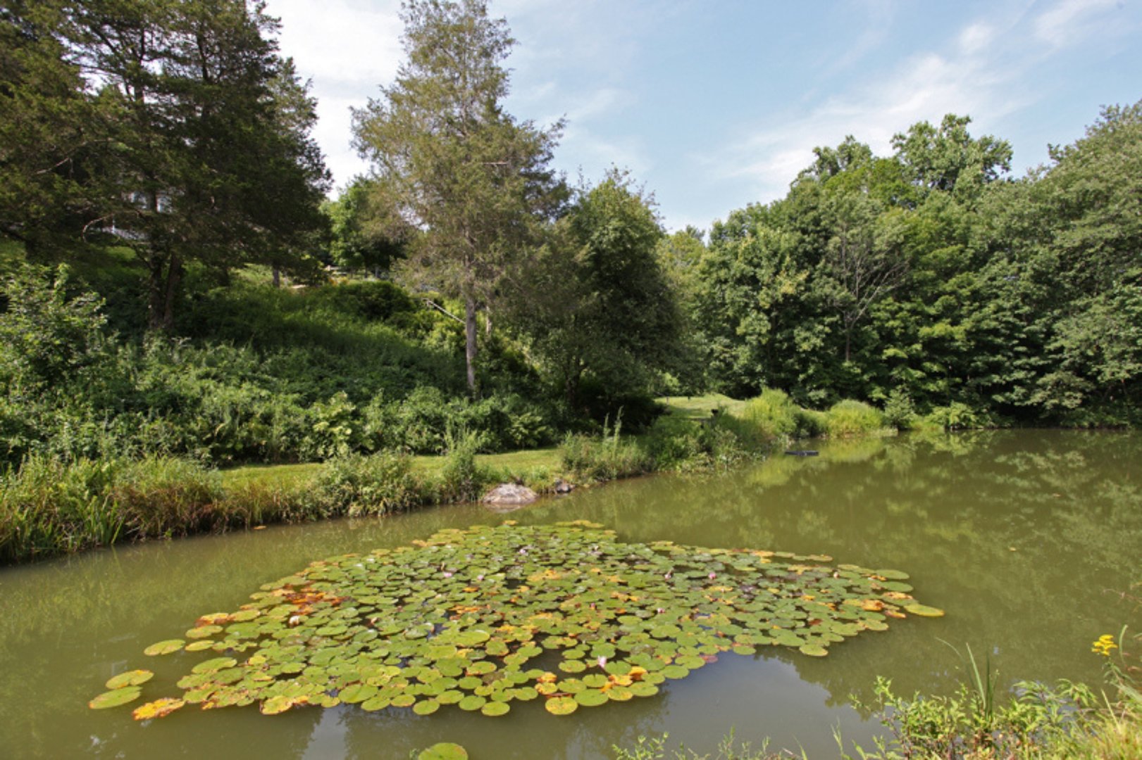 32 Leach Hollow Road Photo 34