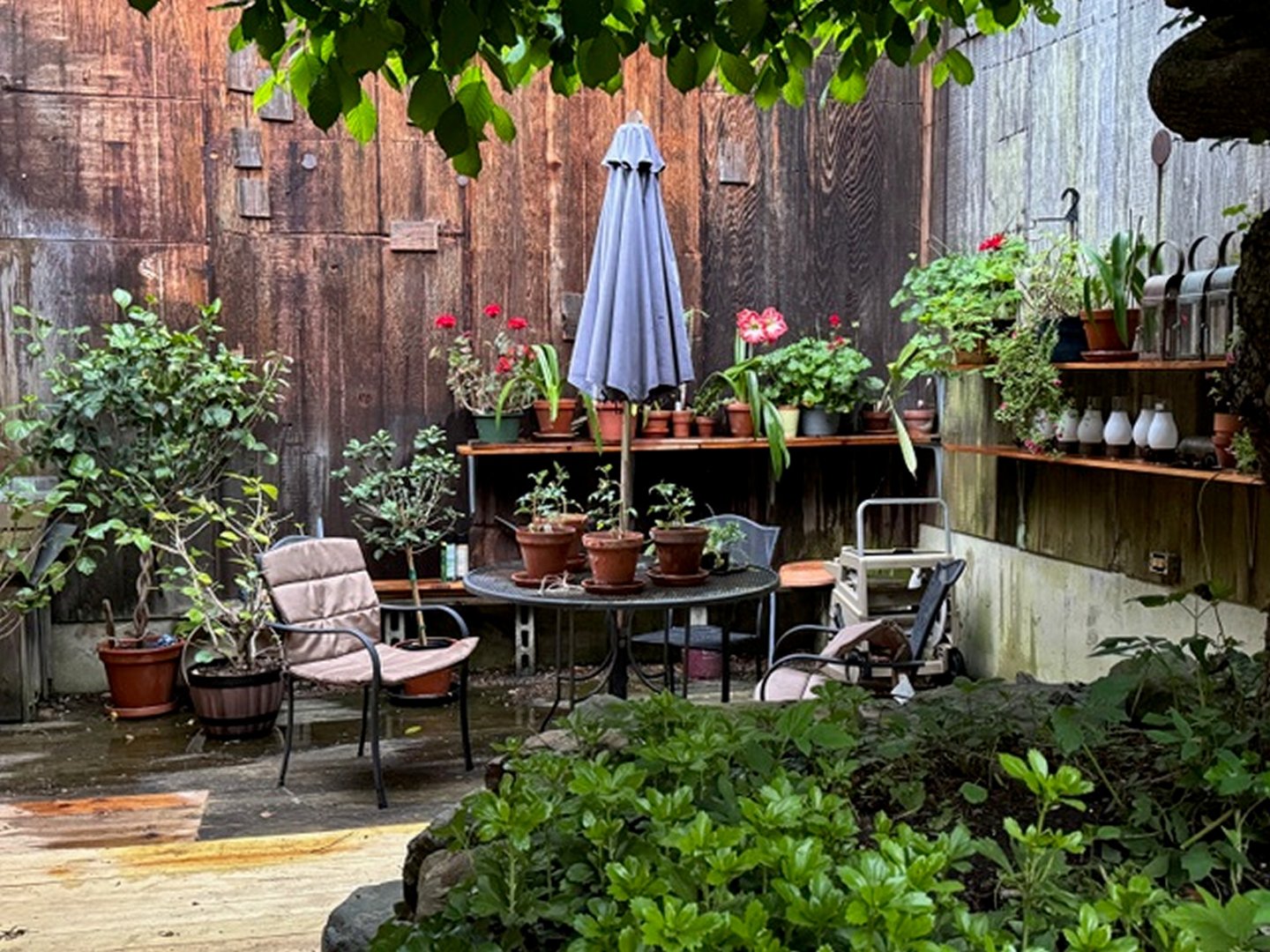 49 South Street Photo 2