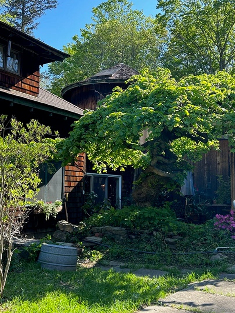 49 South Street Photo 32