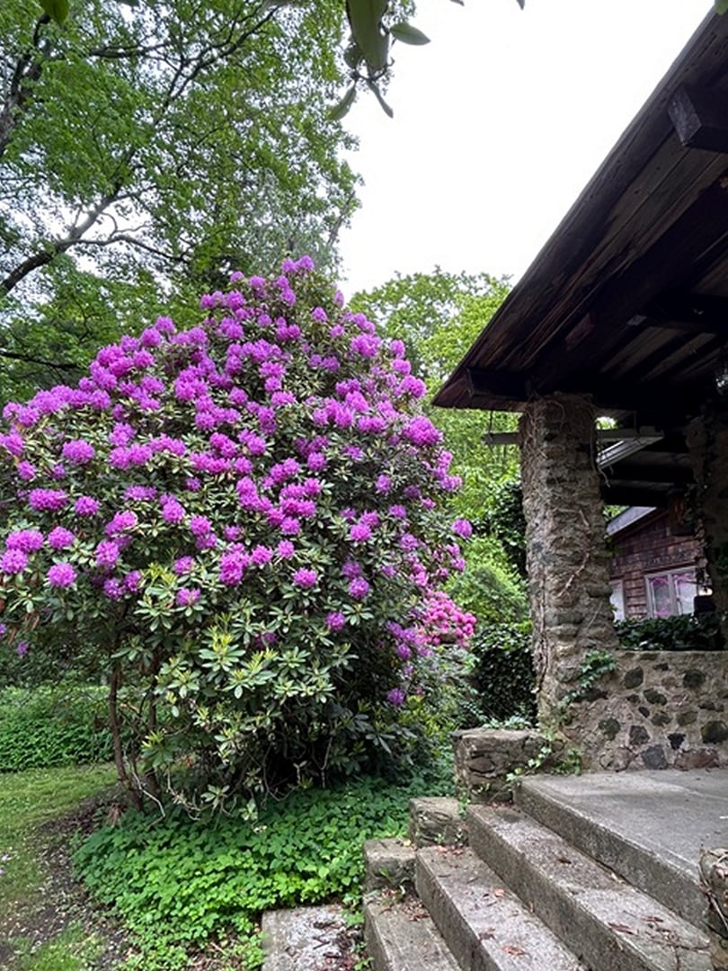 49 South Street Photo 30