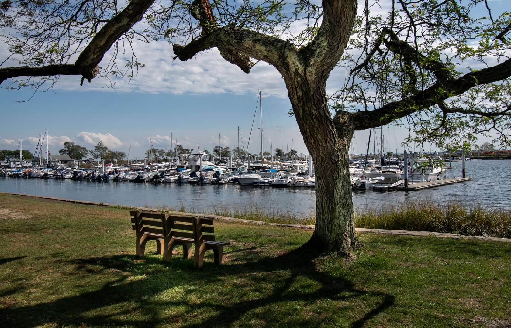 4 Spriteview Avenue Photo 25