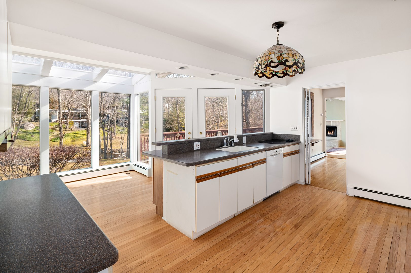 223 Red Fox Road Photo 9