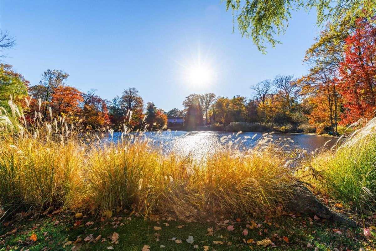 51 Whitetail Road Photo 31