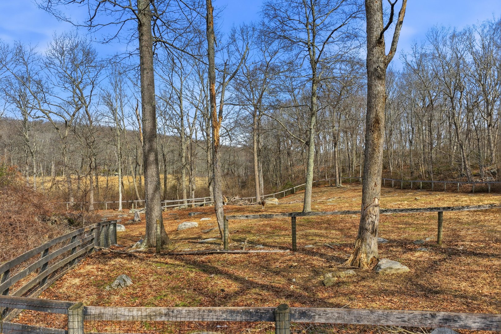 17 Colonial Drive Photo 37