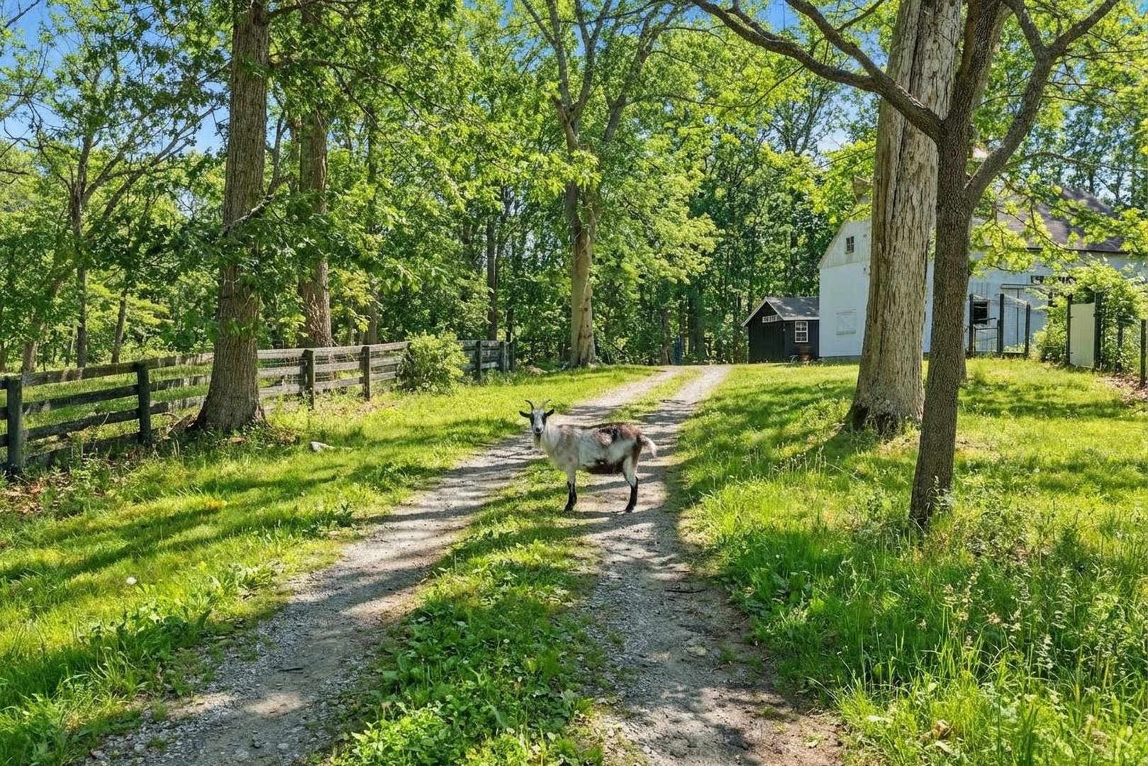 17 Colonial Drive Photo 39