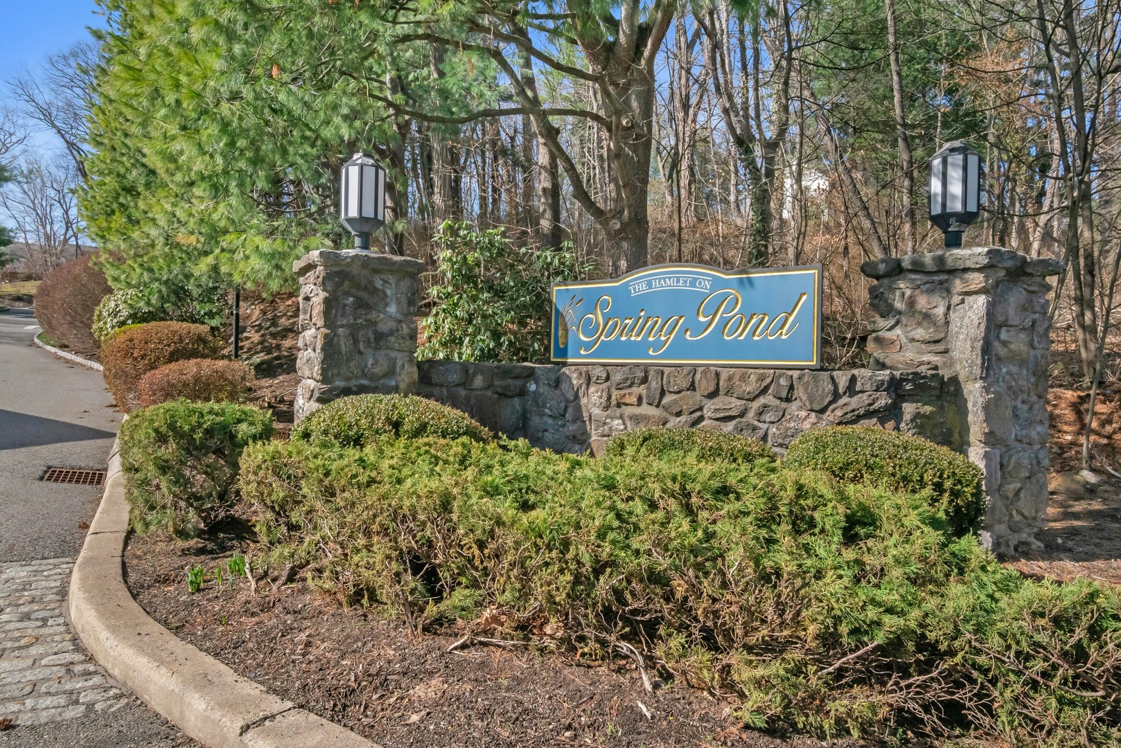 1 Spring Pond Drive #1 Photo 34