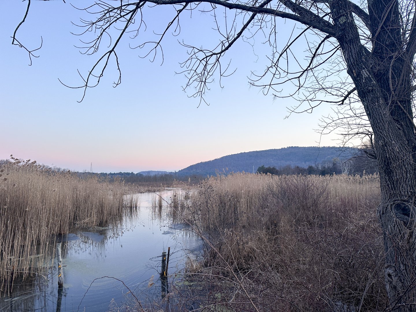 Millerton Road Photo 1