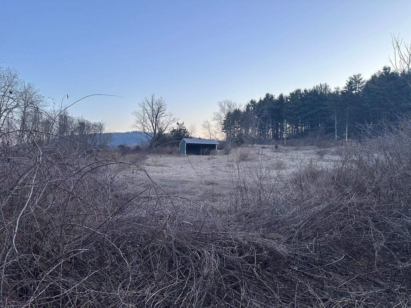 Millerton Road Photo 3