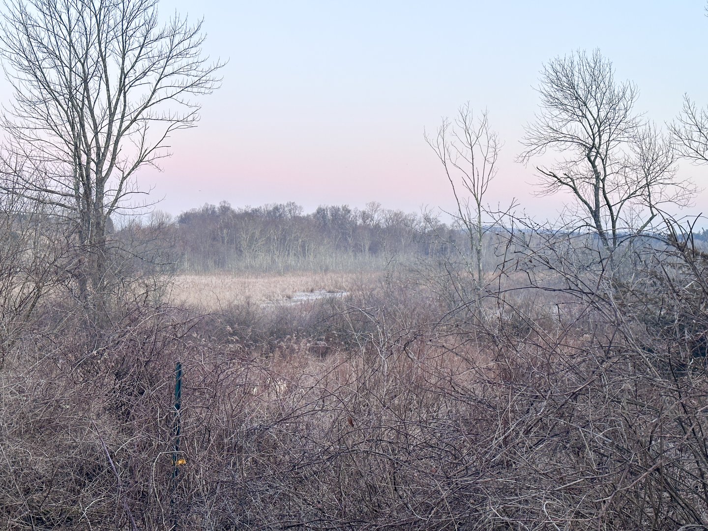 Millerton Road Photo 4