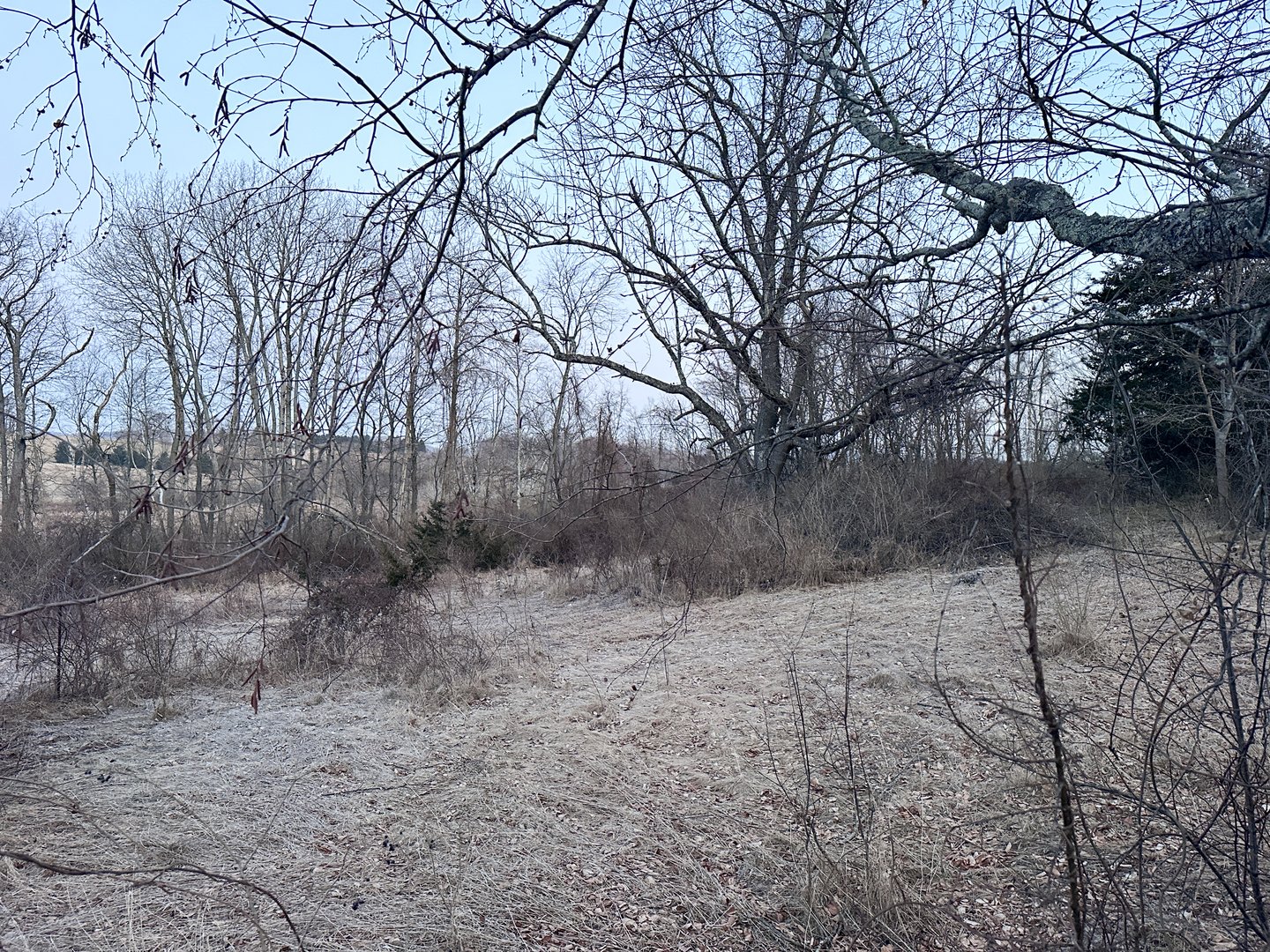 Millerton Road Photo 5