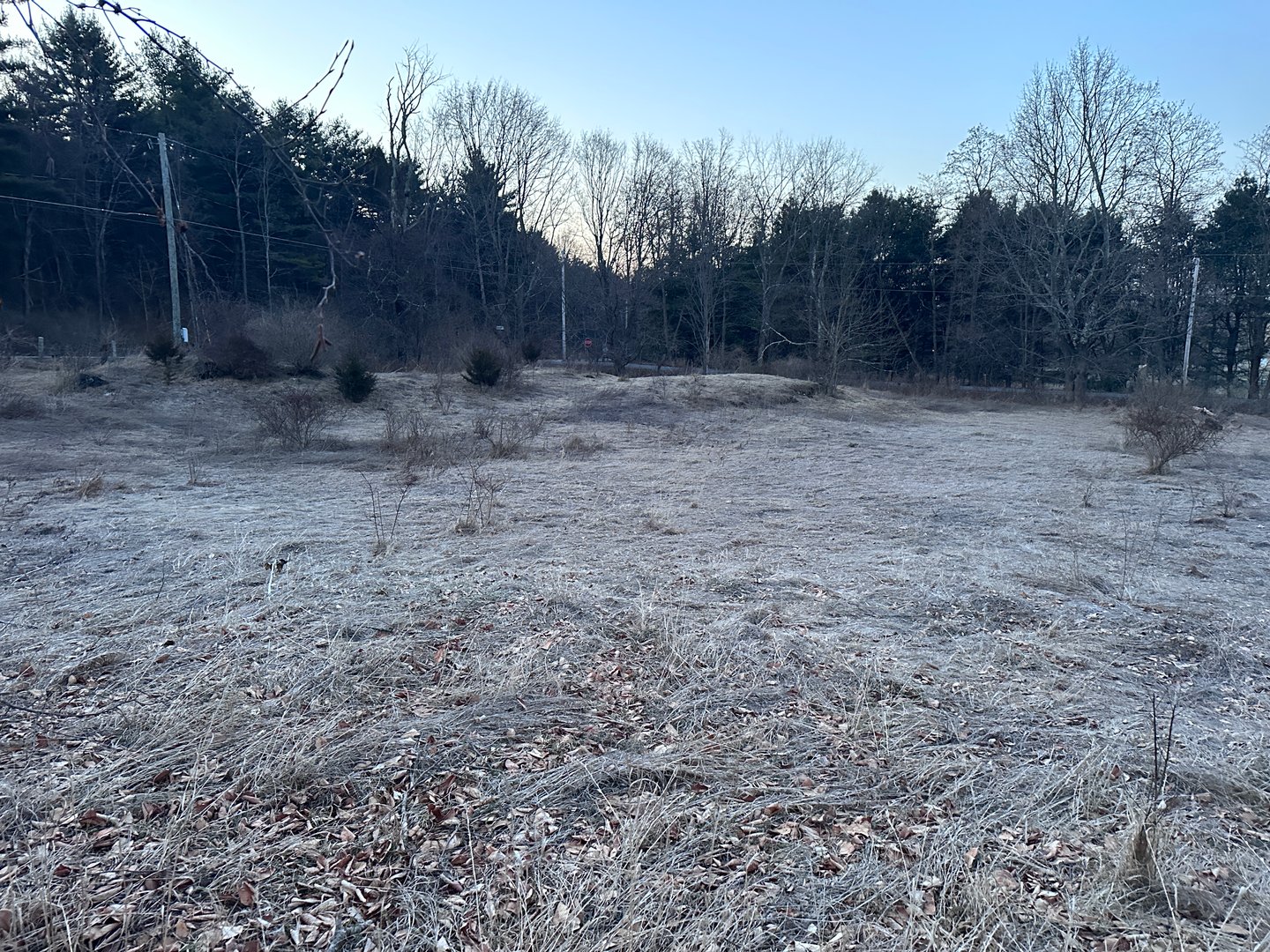 Millerton Road Photo 7