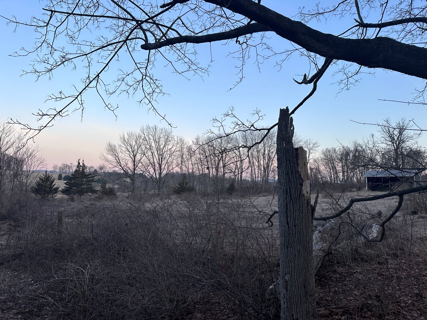 Millerton Road Photo 12